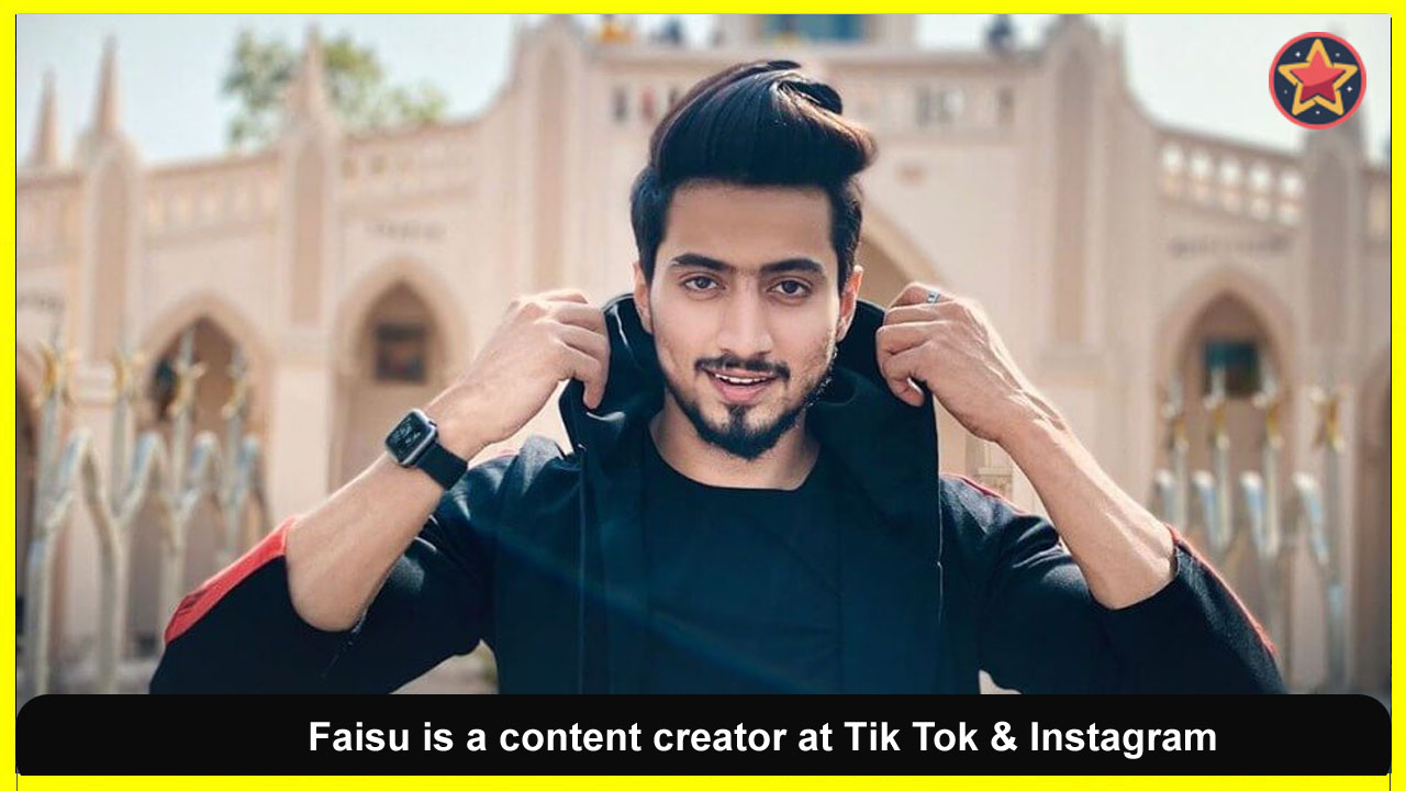 Faisal Shaikh aka Mr. Faisu also has a YouTube channel under her own name, which has over 1.9 million subscribers and +93 million views as of 2023. He tries to entertain and educate his audience through his YouTube channel.